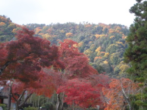 20091128_5