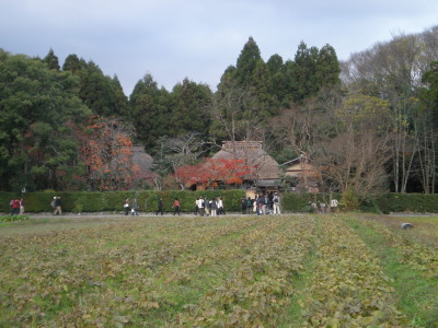 20091128_6