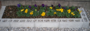 Pc070040